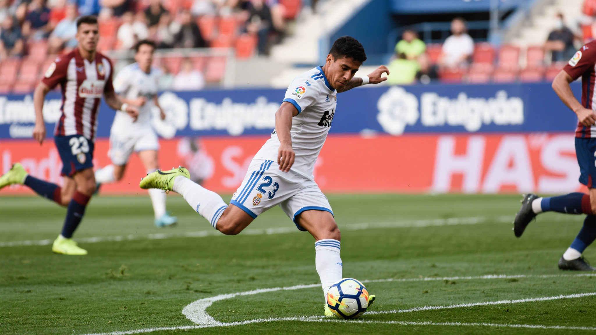 leyu乐鱼手机APP下载